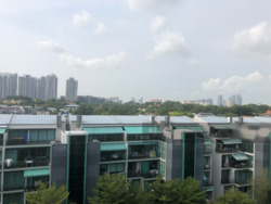 Duchess Residences (D10), Condominium #258138461